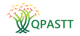 Qpastt 300x300